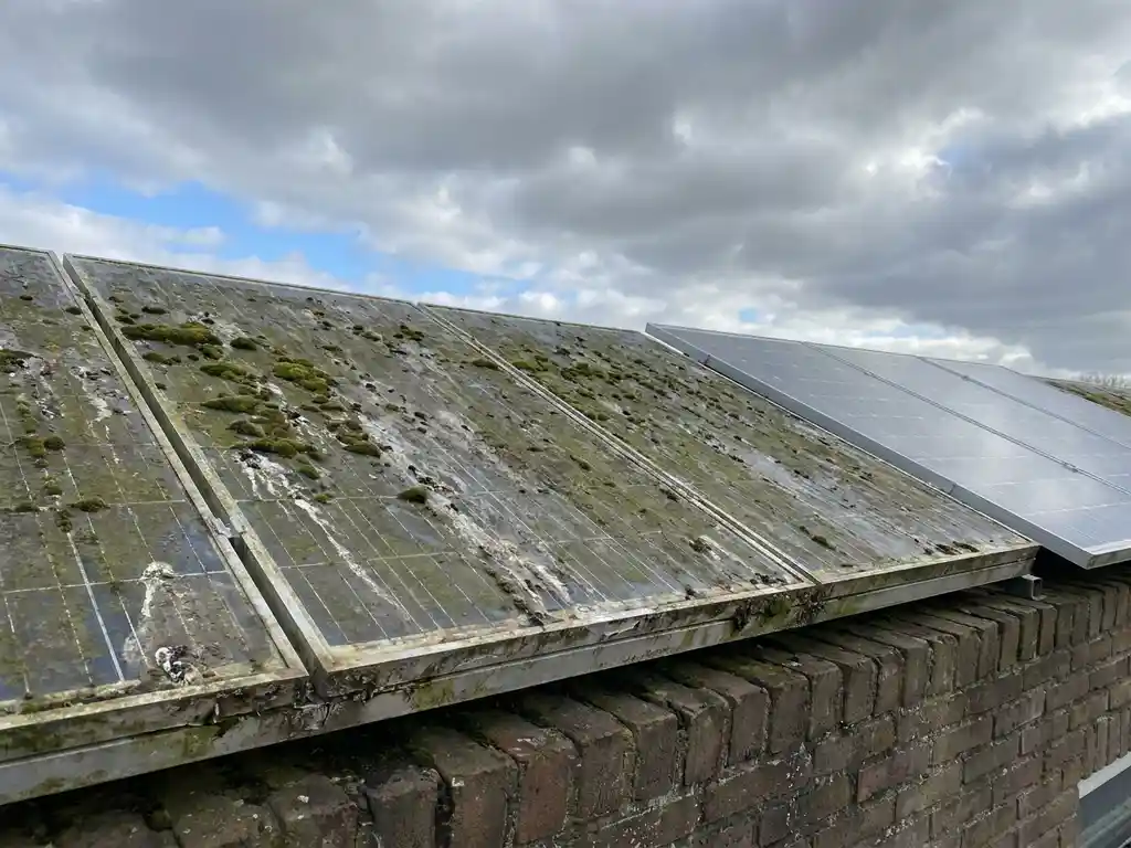 Vervuilde zonnepanelen op een Nederlands dak, bedekt met mos, vogelpoep en stof, naast een schoon paneel onder bewolkte lucht.